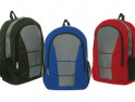 Stylish Backpack B245